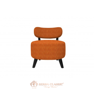 Arm Chair Elegant 17